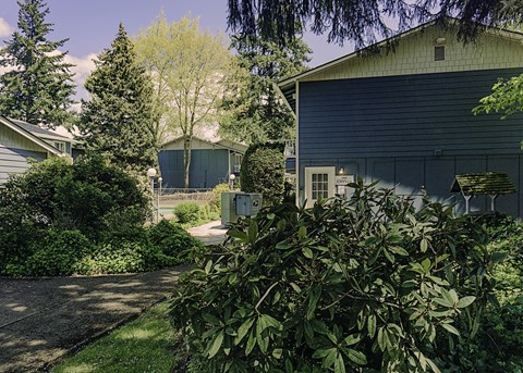 a yard with a blue house and trees and bushes