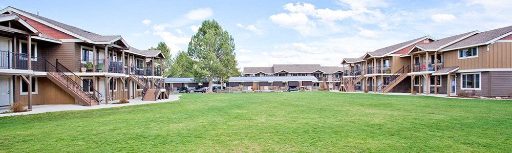 a row of houses with a large grassy yard