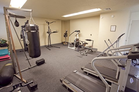 a gym with a punching bag in the corner of a room