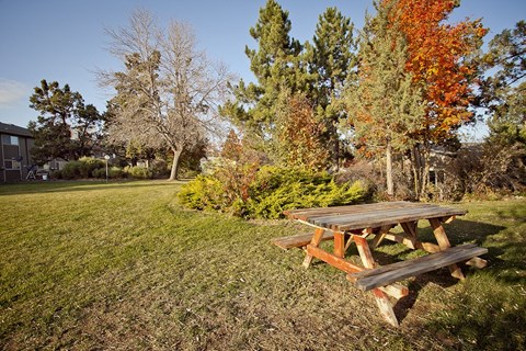 a picnic table in a field with trees