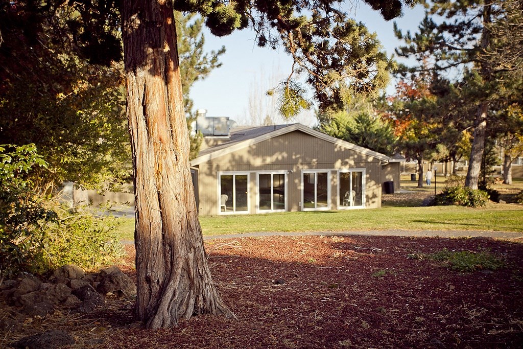 a house with a tree in front of it
