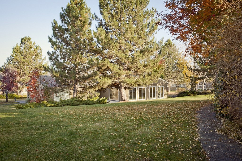 a house with a lawn and trees in front of it