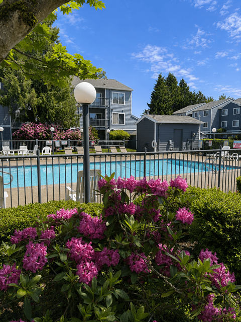 A pool surrounded by a black fence and purple flowers.