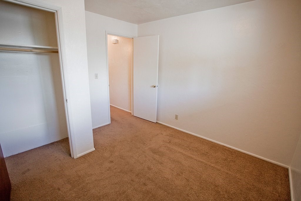 a room with a carpet and a closet