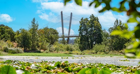 Valley River Footbridge