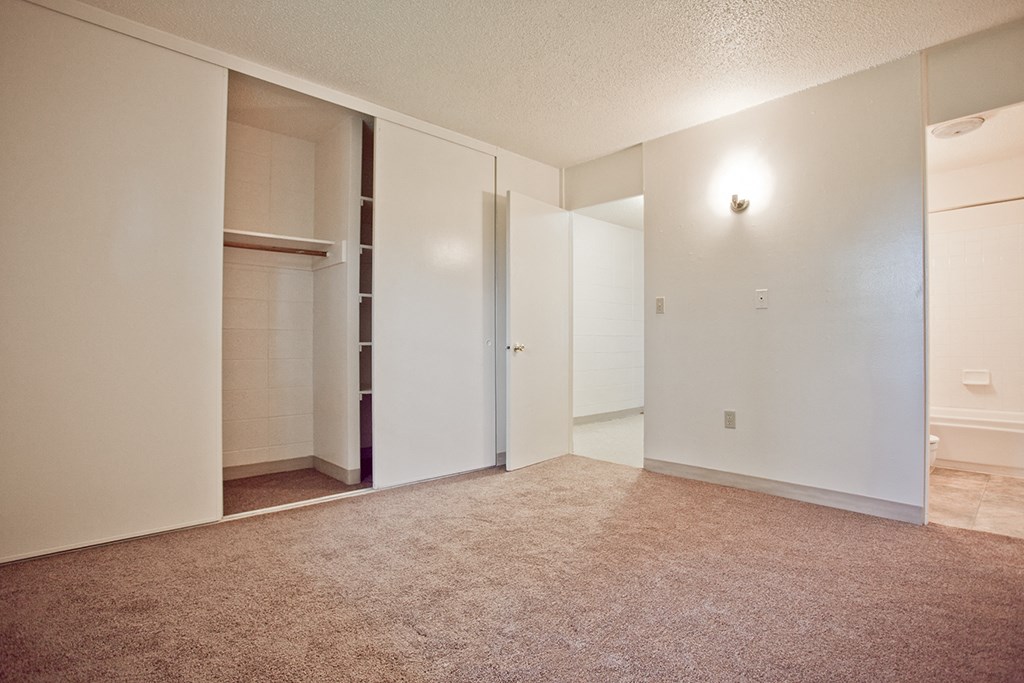an empty bedroom with a closet and a carpeted floor