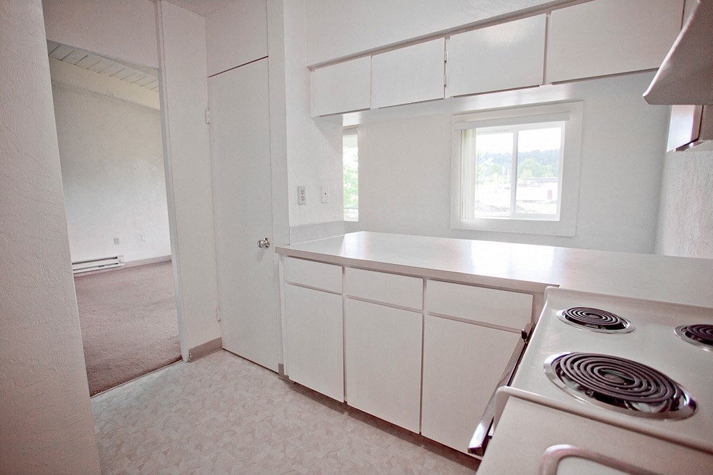 an empty kitchen with a stove and a window