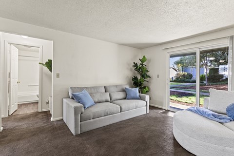 A living room with a grey couch and a green plant.