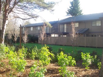 1503-1515 Bailey Hill Rd 1-3 Beds Apartment for Rent - Photo Gallery 6