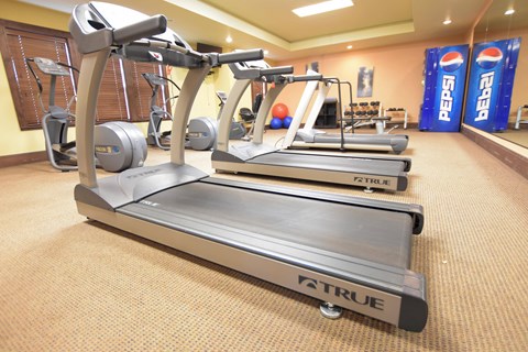 a row of treadmills in the gym at the resort