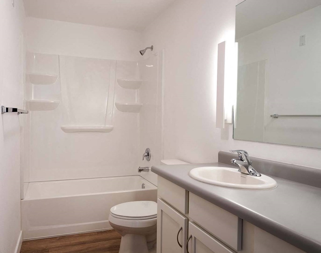 a bathroom with a sink and a toilet and a shower