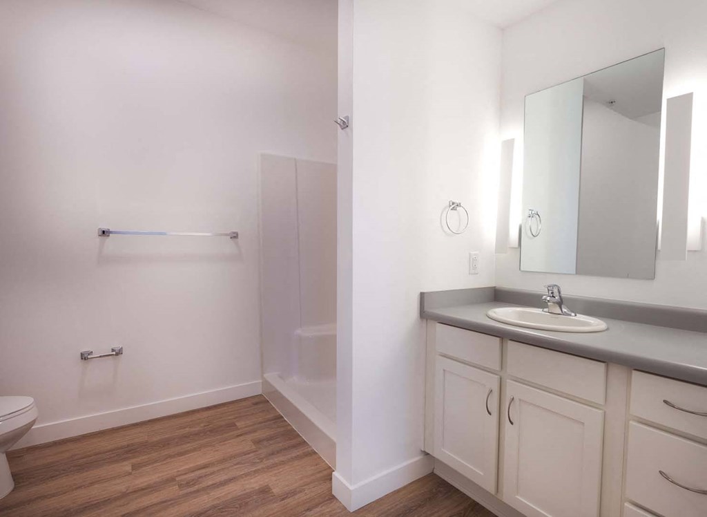 Bathroom/Shower View 2