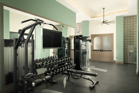 a fitness center with weights and a tv ceiling fan