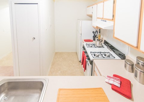 a kitchen with a sink and a stove and a refrigerator
