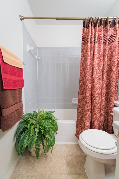 a bathroom with a toilet and a plant in it