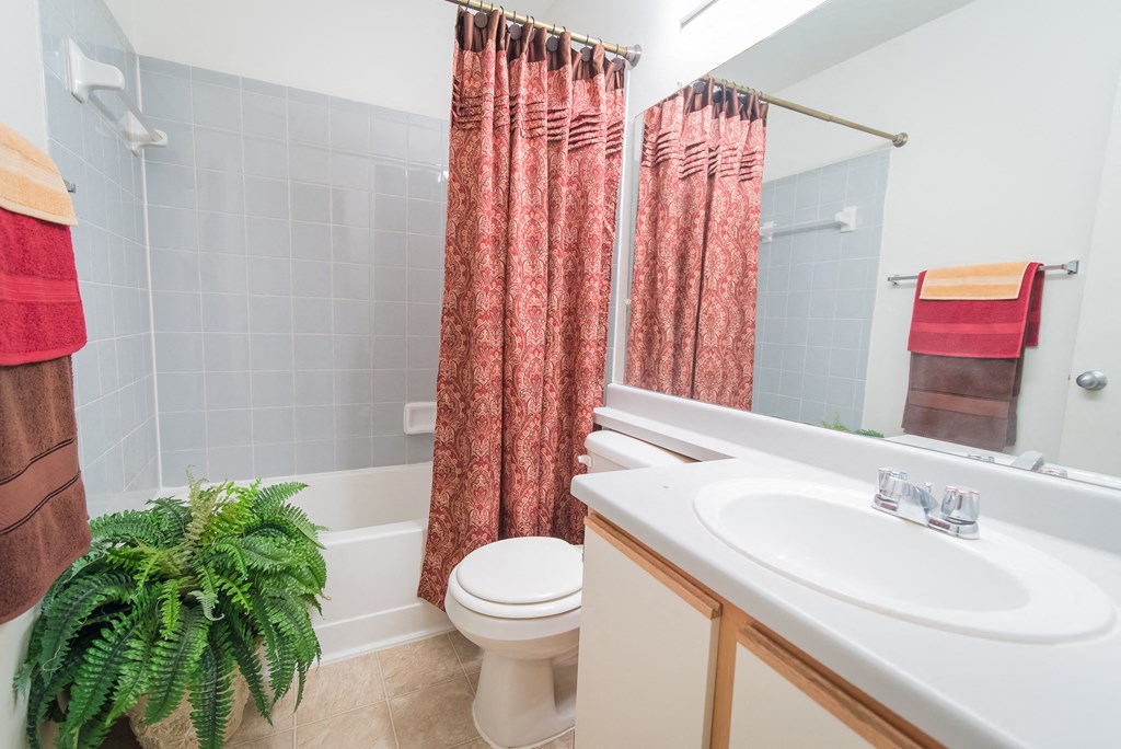 a bathroom with a shower toilet and sink and a plant