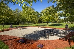 a picnic area in a park with a table and benches