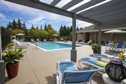 a swimming pool with lounge chairs and umbrellas