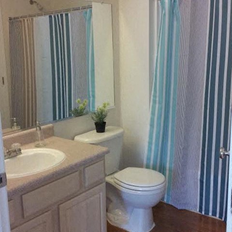 a bathroom with a toilet and a sink and a shower