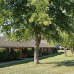 the front yard of a house with a tree in front of it