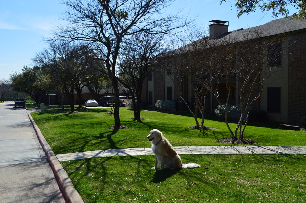 Overton Park Apartments, 220 E. Overton Rd, Dallas, TX RentCafe