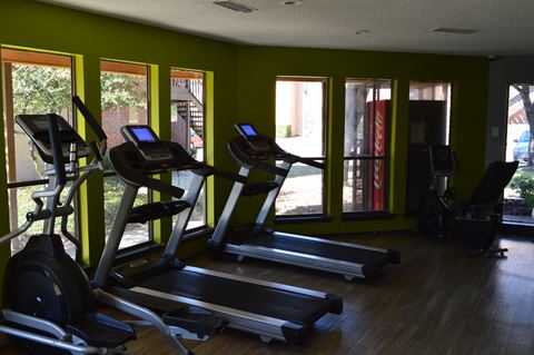 the gym has plenty of cardio equipment and a lot of windows