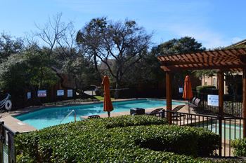 A pool surrounded by greenery and a wooden pergola.