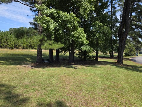 A tree-lined grassy area with a clear blue sky.