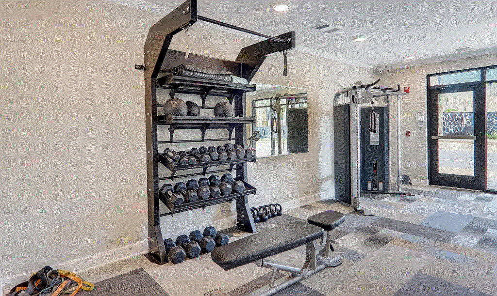 A home gym with a bench, weights, and exercise equipment.