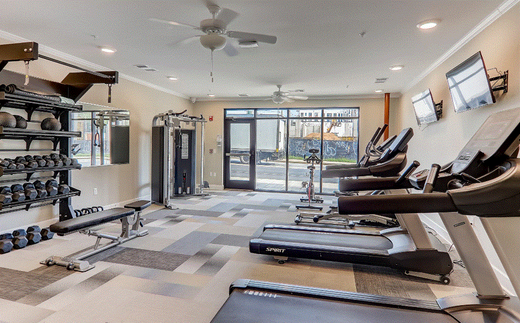 A gym with treadmills, weights, and exercise equipment.