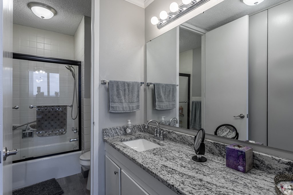 a bathroom with a sink and a shower and a mirror