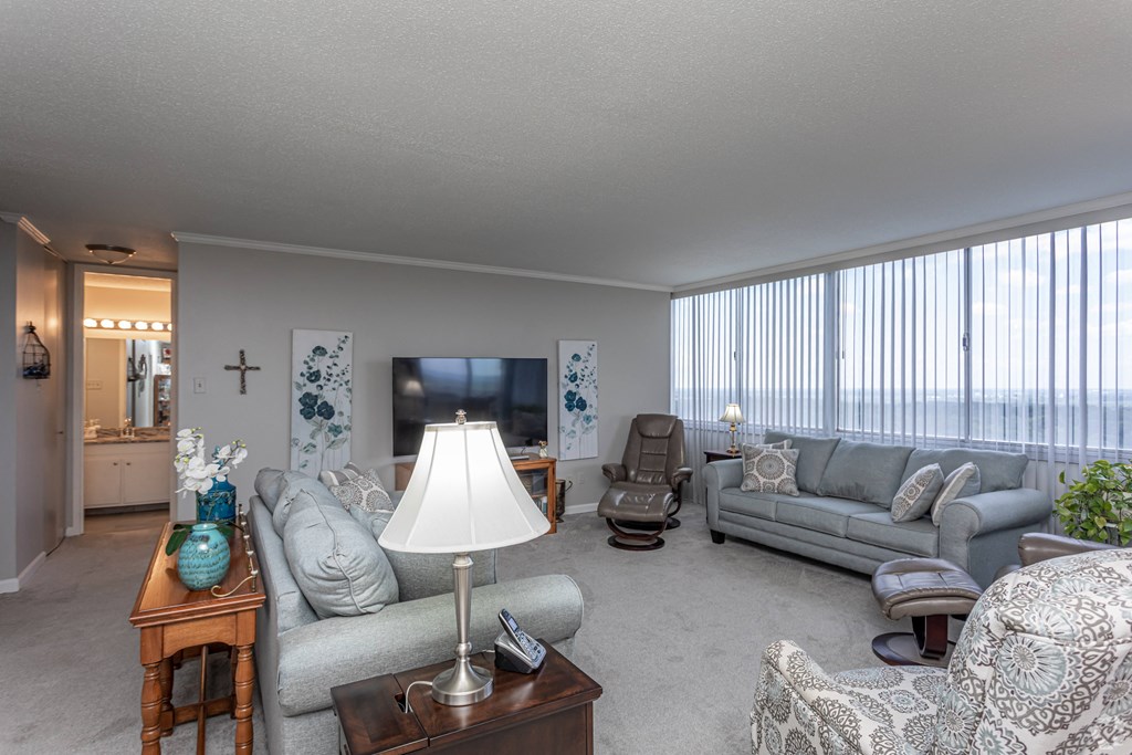 the living room has a lot of couches and a tv