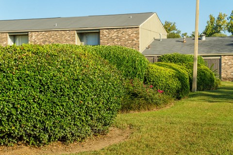 a row of hedges in front of a house