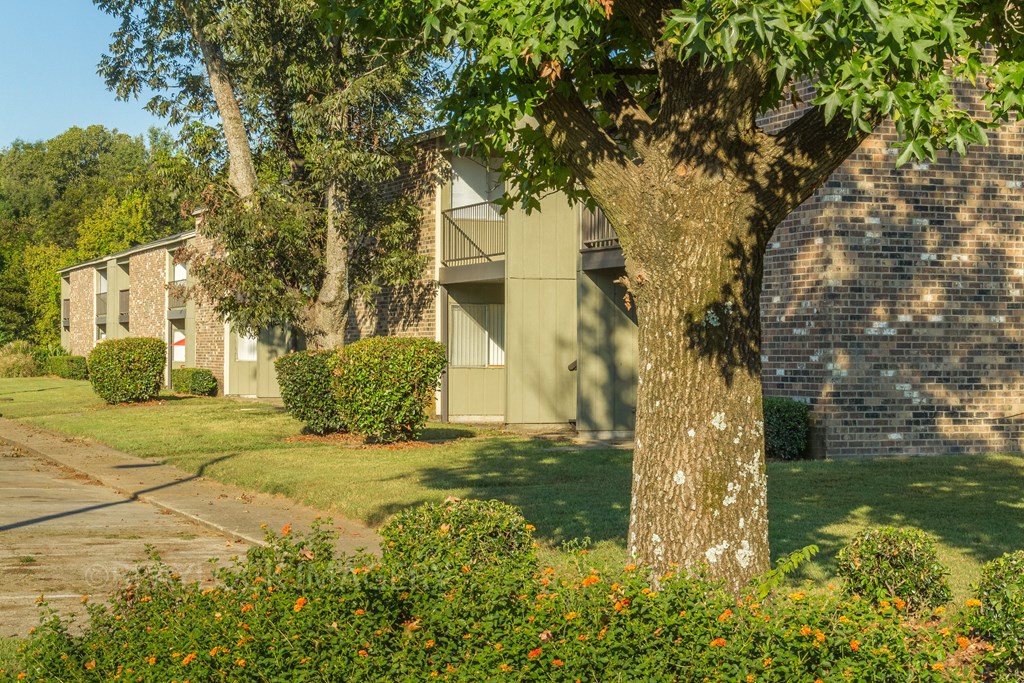 our apartments showcase a beautiful lawn