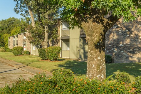 our apartments showcase a beautiful lawn