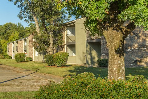 an apartment building with a tree in front of it