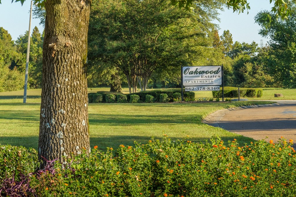 a park with a tree in the foreground and a sign in the background