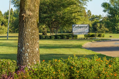 a park with a tree in the foreground and a sign in the background