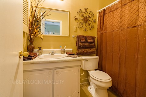 a bathroom with a white sink and toilet and a brown shower curtain