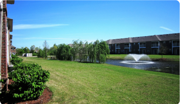 A fountain in the middle of a grassy area.