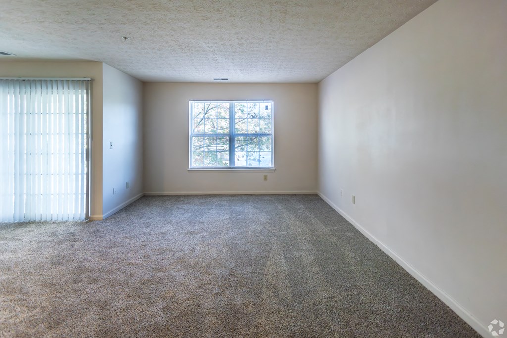 A room with a carpeted floor and a window with blinds.