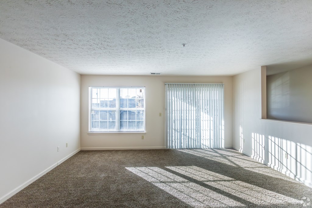 A sunny room with a large window and a carpet on the floor.