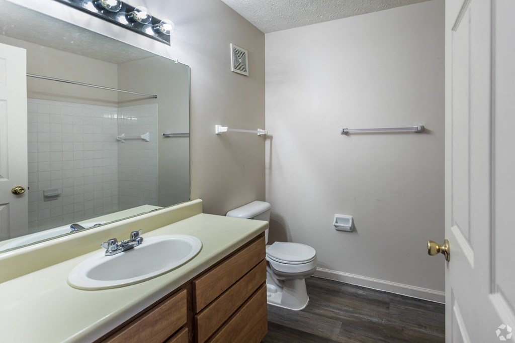 A bathroom with a toilet, sink, and mirror.