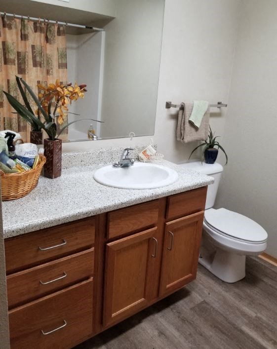 a bathroom with a sink toilet and mirror