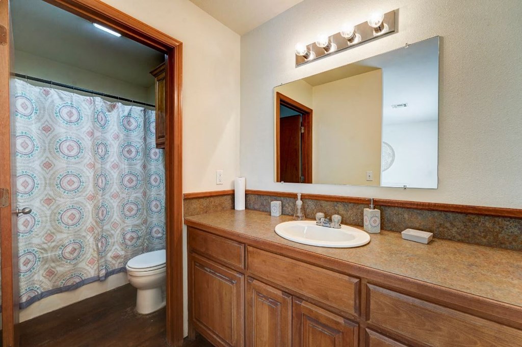 a bathroom with a sink and a toilet