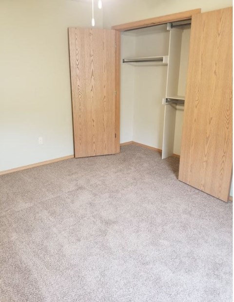 an empty bedroom with a closet and a carpeted floor