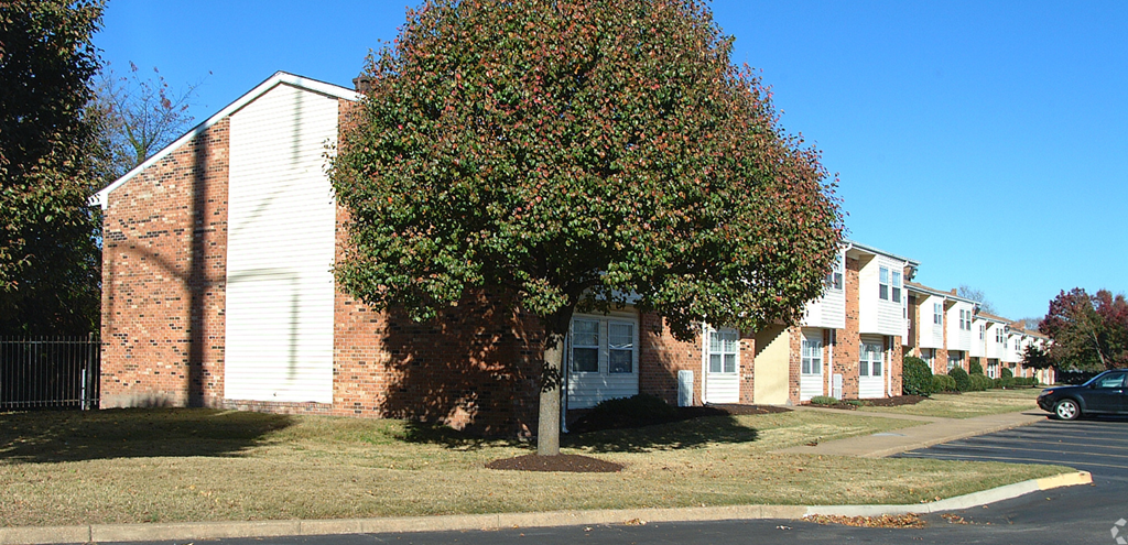 a tree in front of a row of houses