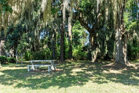 a white picnic table in a park with trees