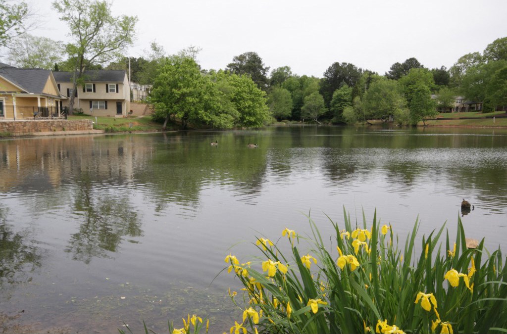 the pond in front of the house with yellow flowers