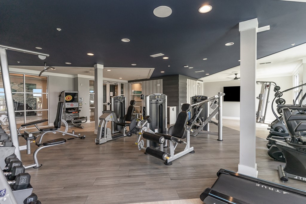 a fully equipped gym with cardio equipment and weights